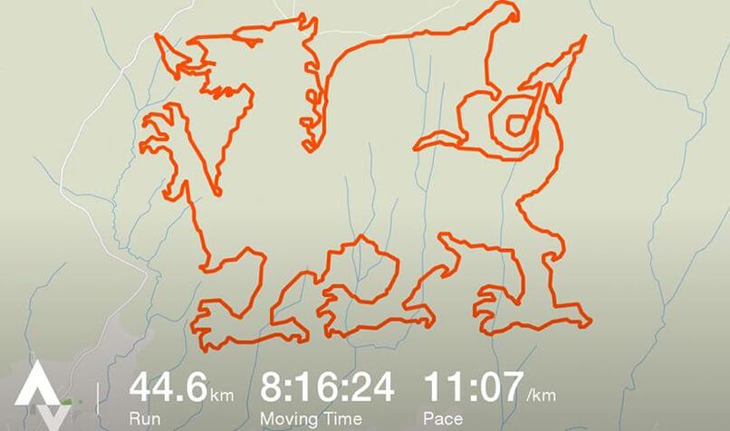 Liverowing strava online